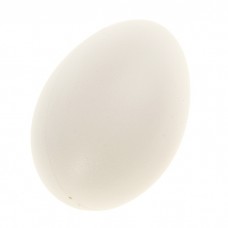 Прикол "Яйцо" 1 шт гусиное, пластик №4772.91