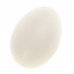 Прикол "Яйца" в сетке ( набор 6 шт) гусиные, пластик №4772.91