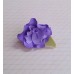 Цветочек  Волна латекс, цвет: фиолетовый с  сиреневым,  размер: 4 см №3204.450