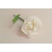 Бутоньерка Роза SvetikFantasy Цвет: айвори, размер: стебель 12см, цветы 7,5 см №3277.112